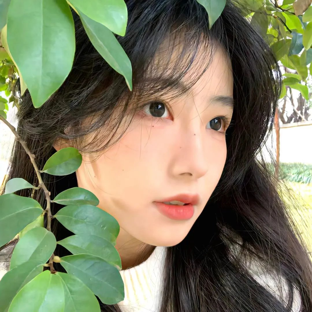 公主变形记